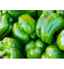 California Wonder Bell Pepper