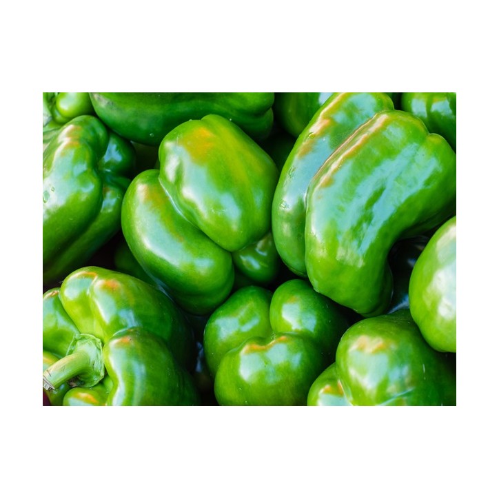 California Wonder Bell Pepper