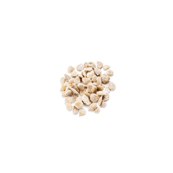 Tomato Seeds, Beefsteak