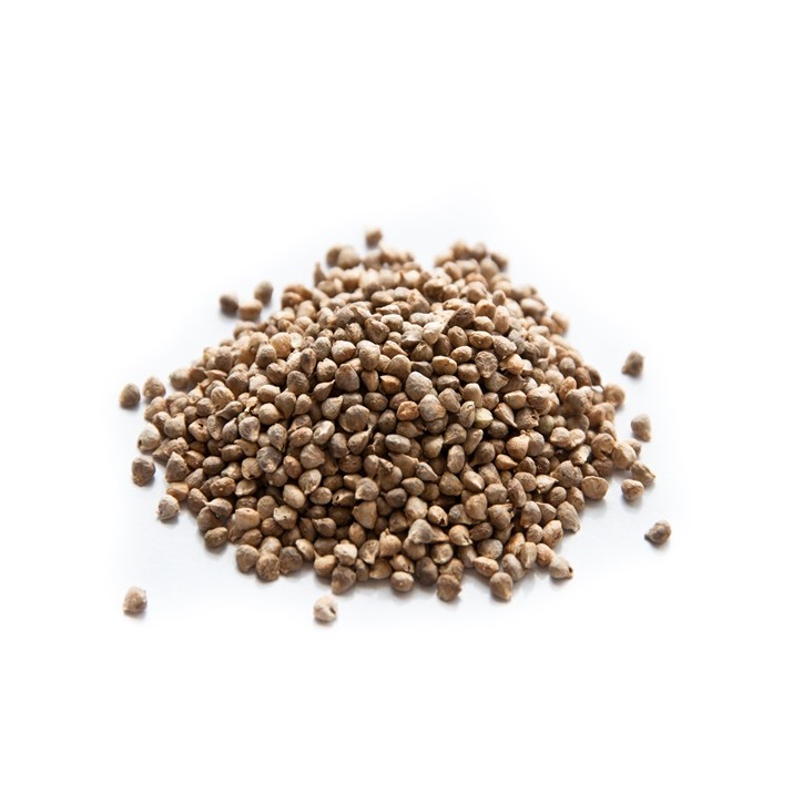 Spinach Seeds, Giant Noble