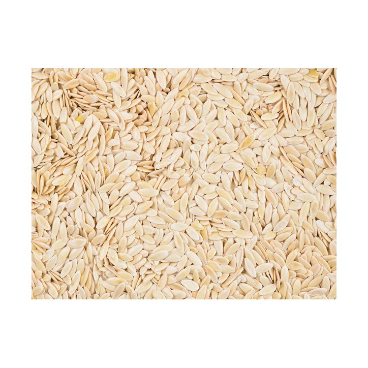 Cucumber Seeds, Boston Pickling Cucumber Seeds, Boston Pickling