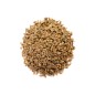 Carrot Seeds - Red Cored Chantenay