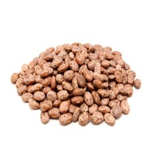 Bush Mexican Pinto Bean seeds