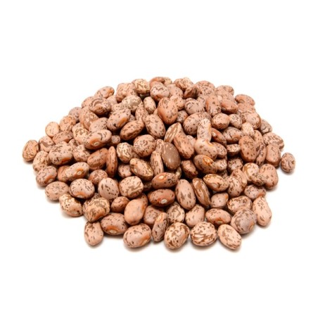 Bush Mexican Pinto Bean