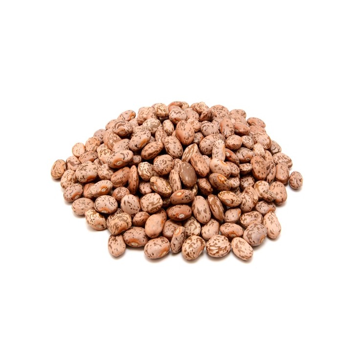 Bush Mexican Pinto Bean