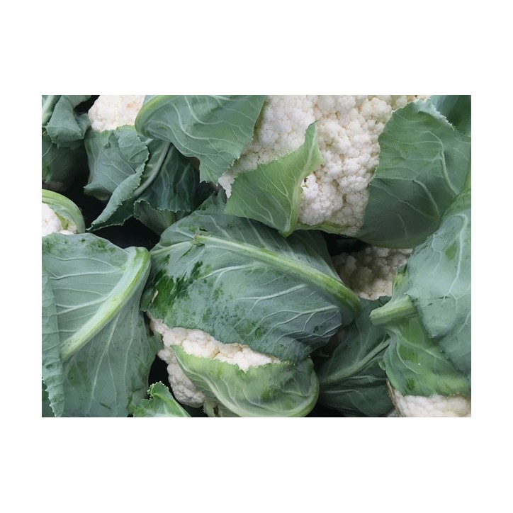 Snowball Cauliflower