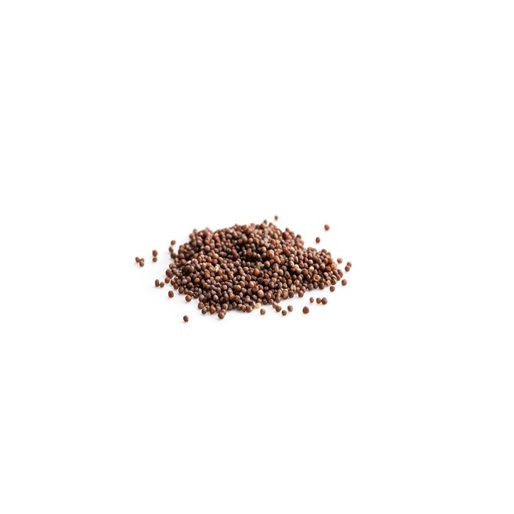 Cauliflower Seeds, Snowball