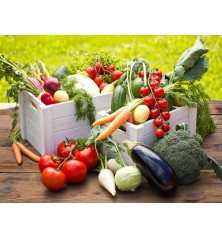 12 Variety Heirloom Garden Package