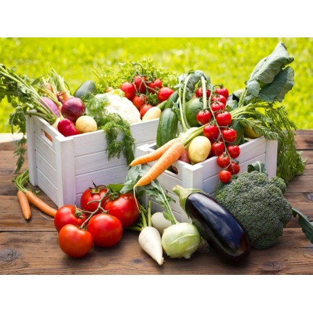12 Variety Heirloom Garden Package
