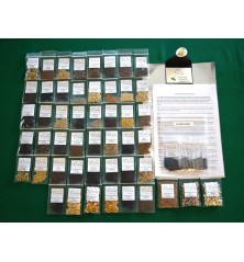 60 Variety Heirloom Seed Package