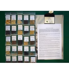 25 Variety Heirloom Seed Package