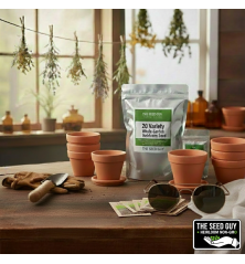 20 Variety Spring Garden Heirloom Seed Package