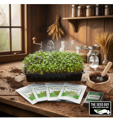 10 Variety Heirloom Microgreen Starter Seed Package