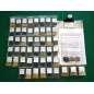60 Variety Heirloom Seed Package 60 Variety Heirloom Seed Package