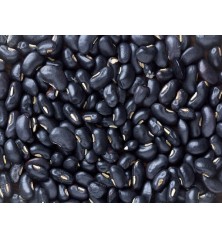 Black Turtle Bean