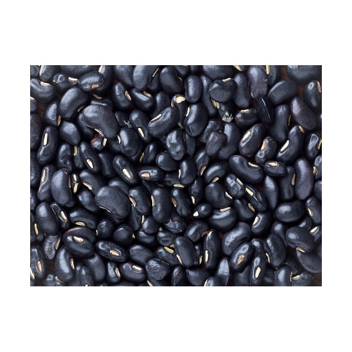 Black Turtle Bean