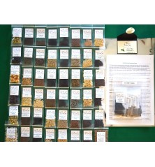 62 Variety Heirloom Seed Package