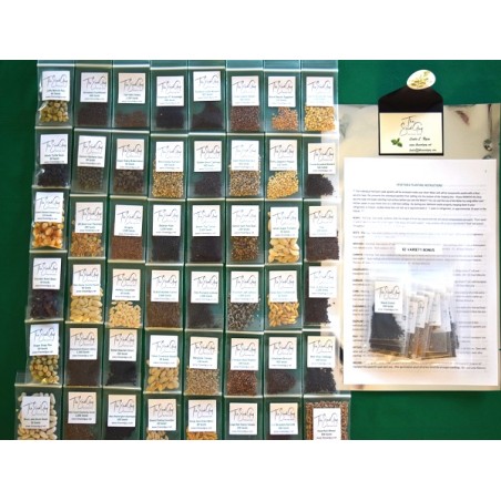 62 Variety Heirloom Seed Package