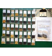 50 Variety Heirloom Seed Package