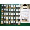 11 VARIETY HERB Heirloom Seed Package
