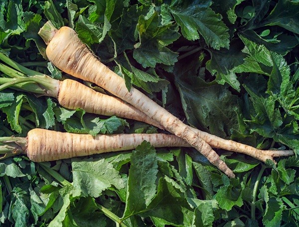 Parsnips
