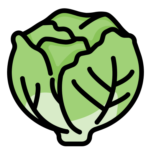 lettuce-icon-the-seed-guy.png