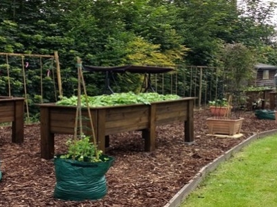 A Potager Garden Can Supply All Your Needs... 